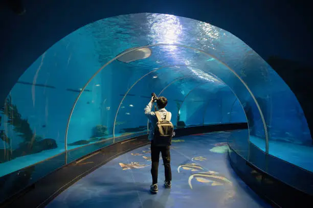 What do you dream about Aquarium?