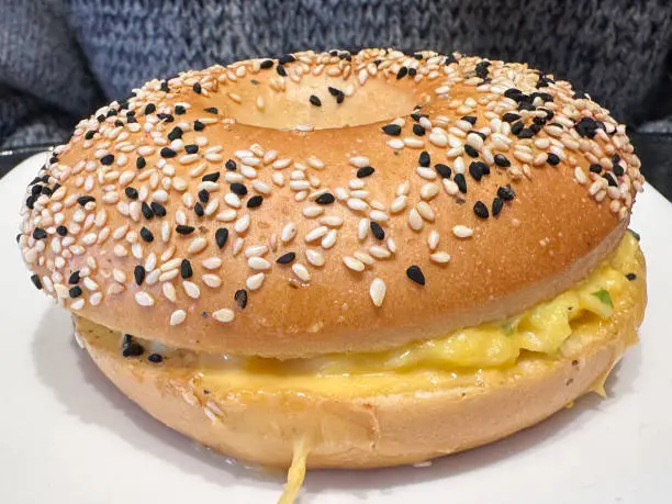 What do you dream about Bagel?