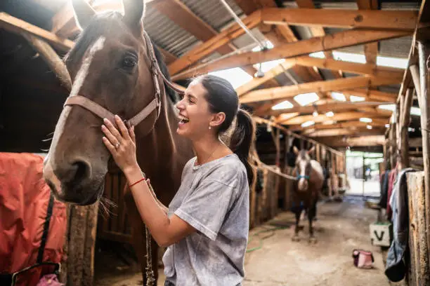 What do you dream about Barn?