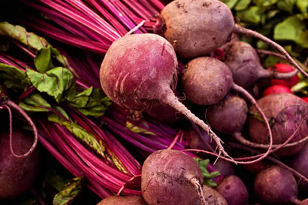 What do you dream about Beet?