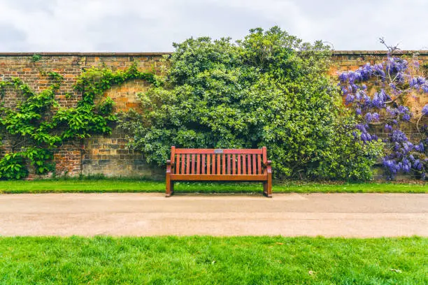 What do you dream about Bench?