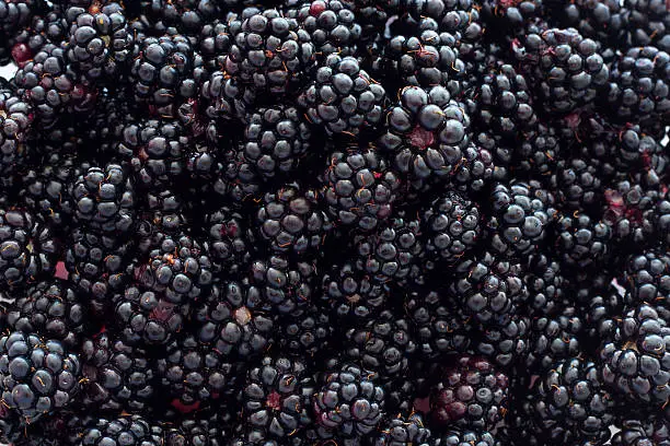 What do you dream about Blackberries?