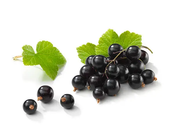 What do you dream about Blackcurrant?