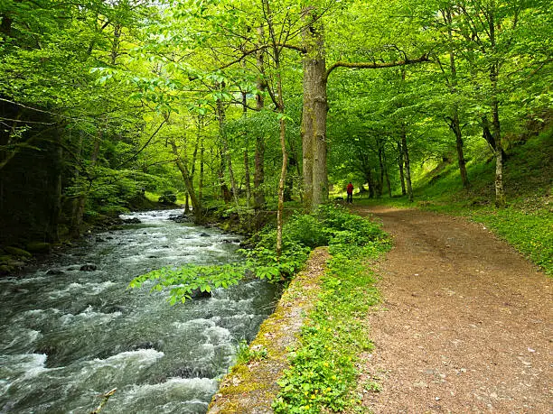 What do you dream about Borjomi?