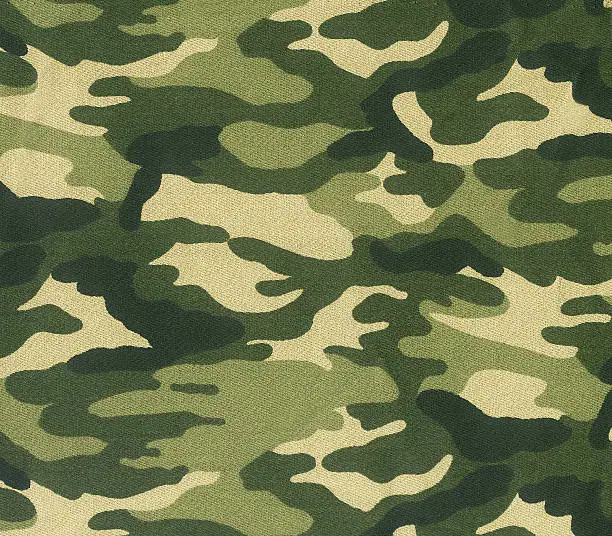 What do you dream about Camouflage?