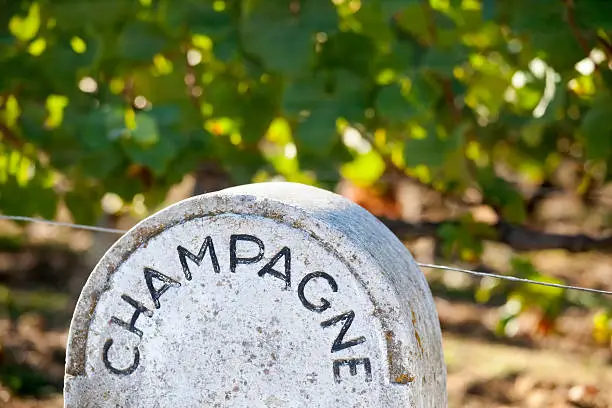 What do you dream about Champagne?