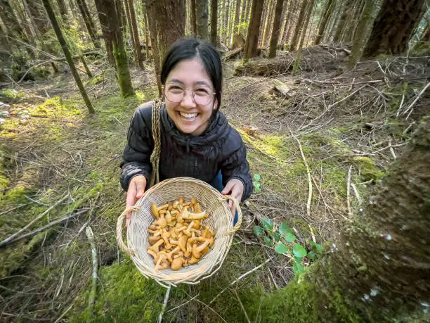 What do you dream about Chanterelles?