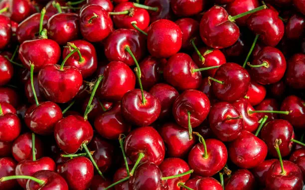 What do you dream about Cherries?