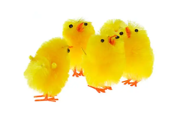 What do you dream about Chicklings?