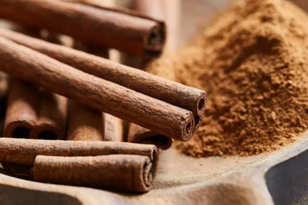 What do you dream about Cinnamon?