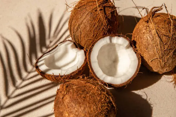 What do you dream about Coconut?