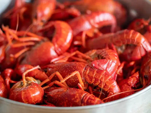 What do you dream about Crayfish?