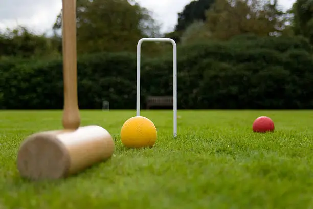 What do you dream about Croquet?