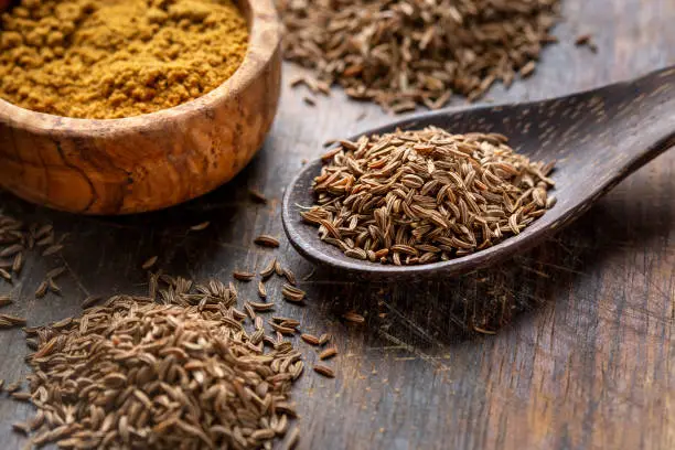 What do you dream about Cumin?