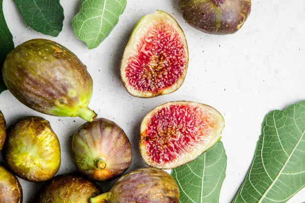 What do you dream about Fig?