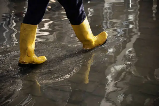 What do you dream about Galoshes?