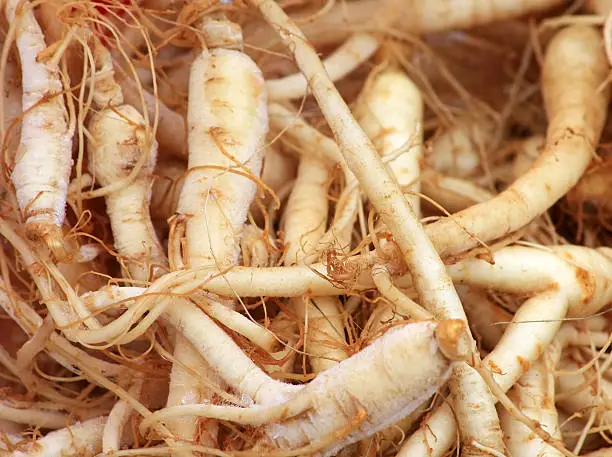 What do you dream about Ginseng?