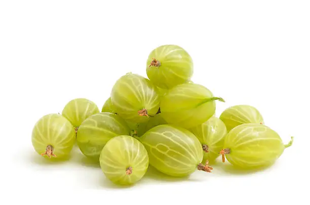 What do you dream about Gooseberry?