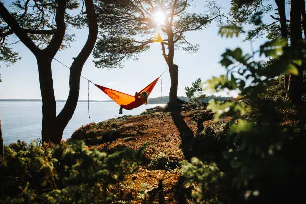 What do you dream about Hammock?