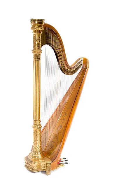 What do you dream about Harp?