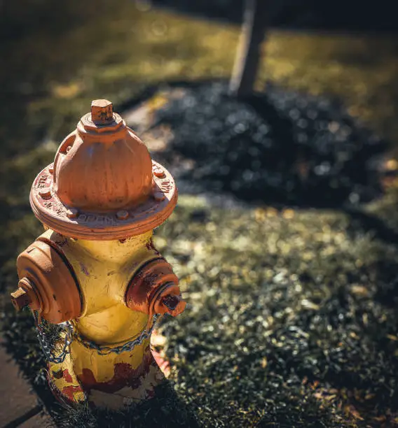 What do you dream about Hydrant?