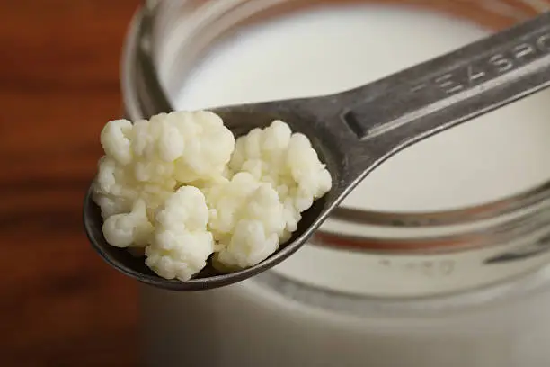 What do you dream about Kefir?