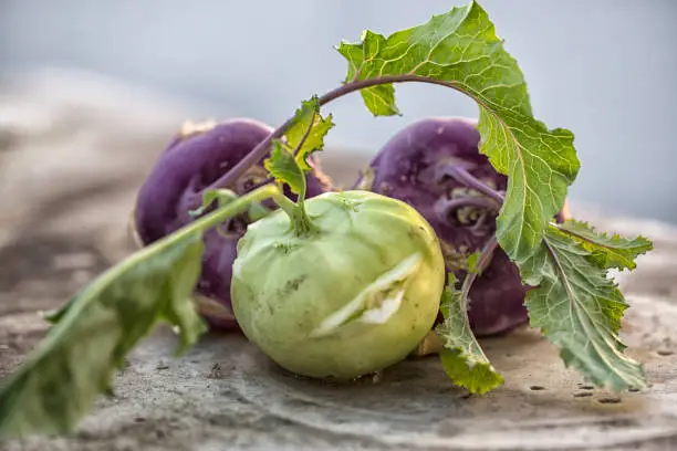 What do you dream about Kohlrabi?