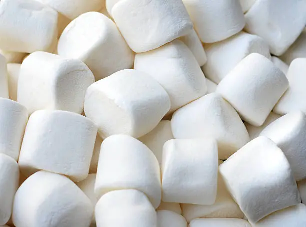 What do you dream about Marshmallow?