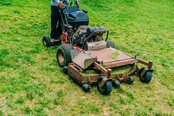 What do you dream about Mower?