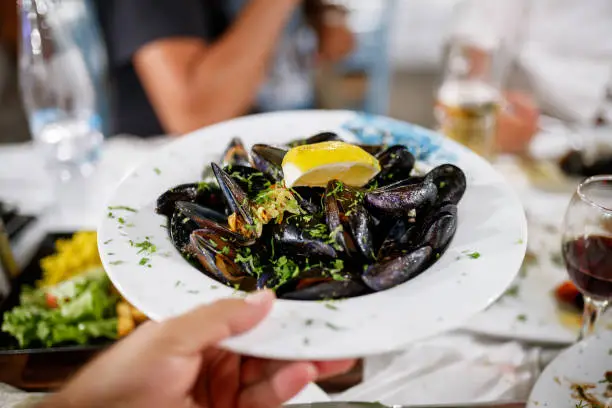 What do you dream about Mussels?