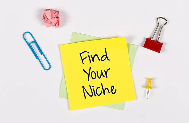 What do you dream about Niche?