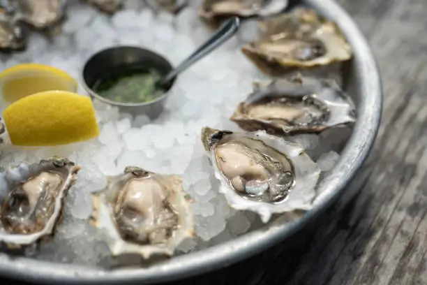 What do you dream about Oyster?