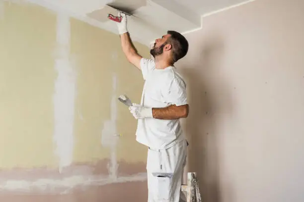 What do you dream about Plasterer?