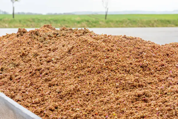 What do you dream about Pomace?