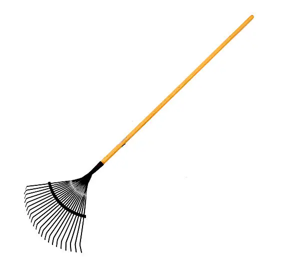 What do you dream about Rake?