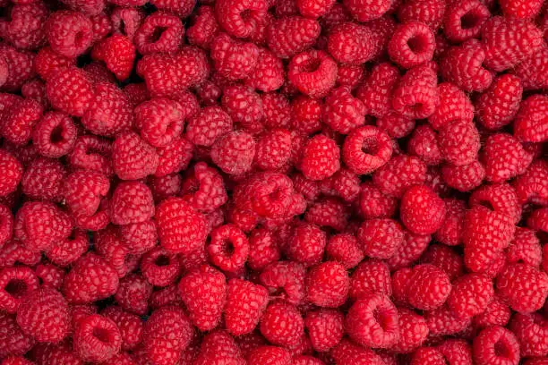 What do you dream about Raspberry?