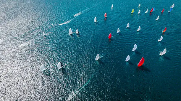 What do you dream about Regatta?