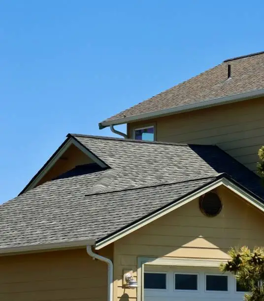 What do you dream about Roof?