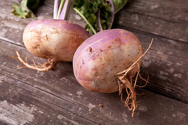 What do you dream about Rutabaga?