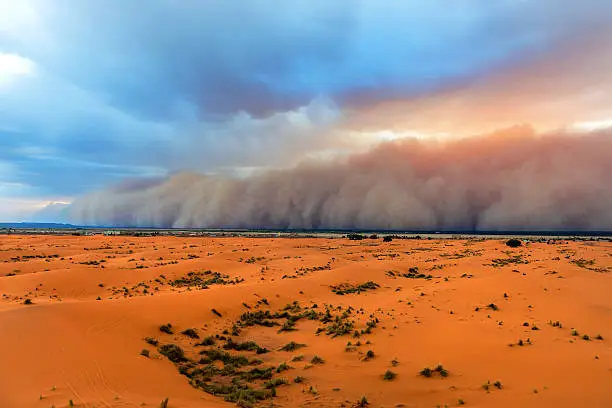 What do you dream about Sandstorm?