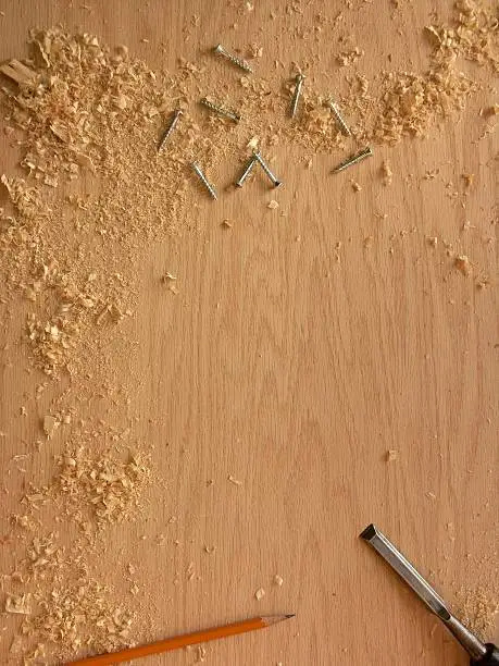 What do you dream about Sawdust?