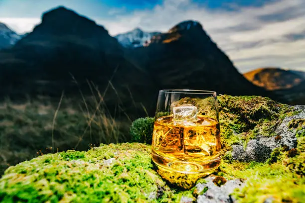 What do you dream about Scotch?