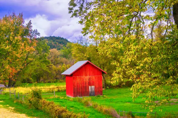 What do you dream about Shed?