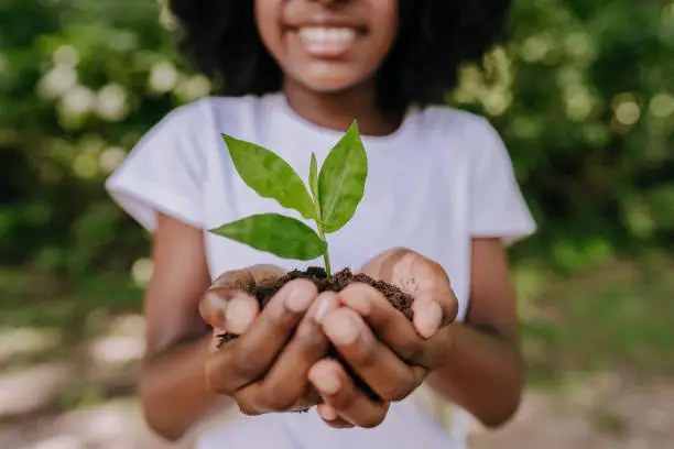 What do you dream about Soil?