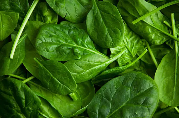 What do you dream about Spinach?