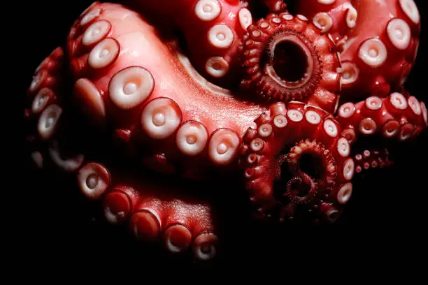 What do you dream about Tentacles?