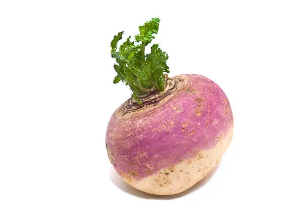 What do you dream about Turnip?