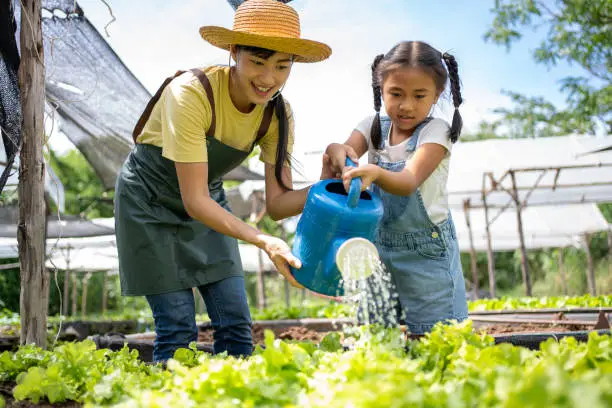 What do you dream about Watering?