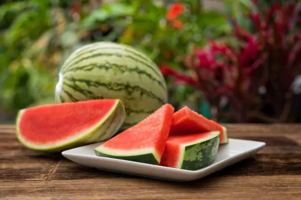 What do you dream about Watermelon?