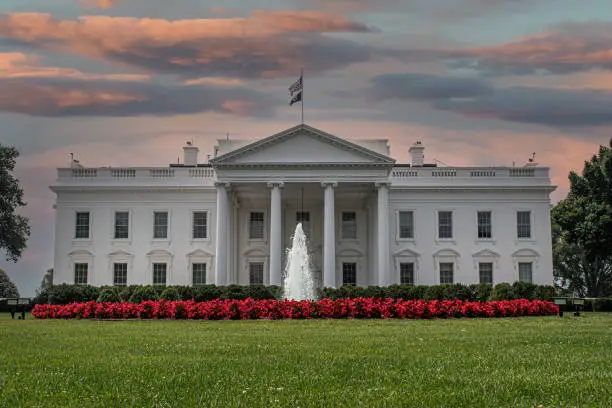 What do you dream about Whitehouse?